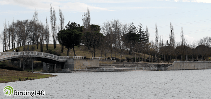Lake of Mari Pascuala, Madrid