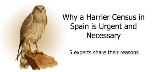 Harrier Census in Spain